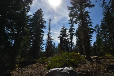 DSC_7830 (Large).JPG